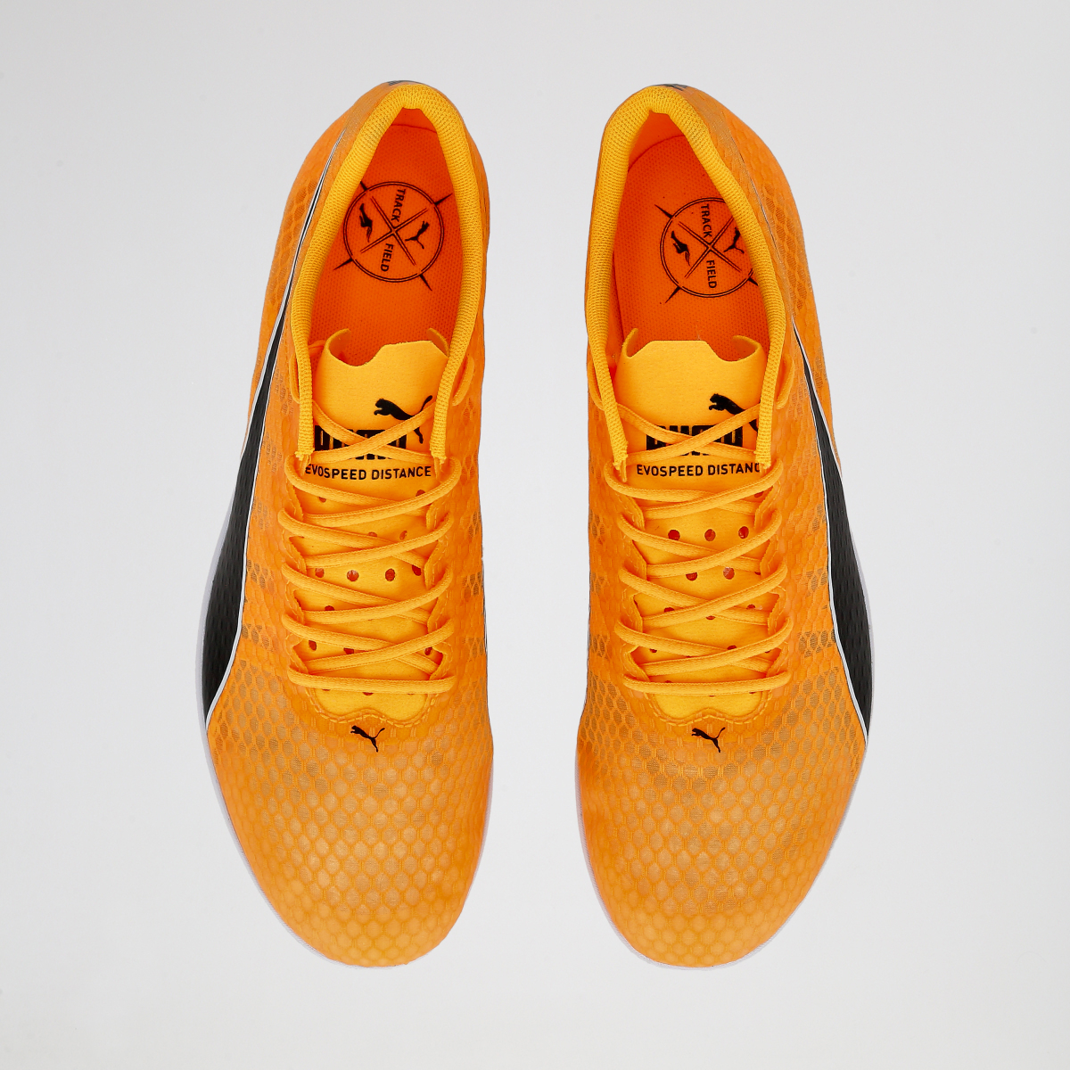 Zapatillas Running Puma Evospeed Distance 11 Hombre,  image number null