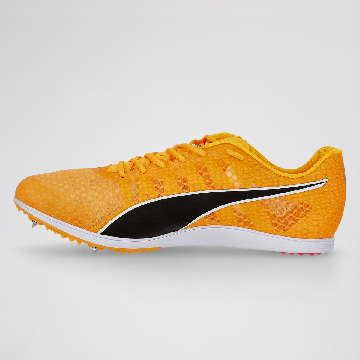Zapatillas Running Puma Evospeed Distance 11 Hombre,  image number null