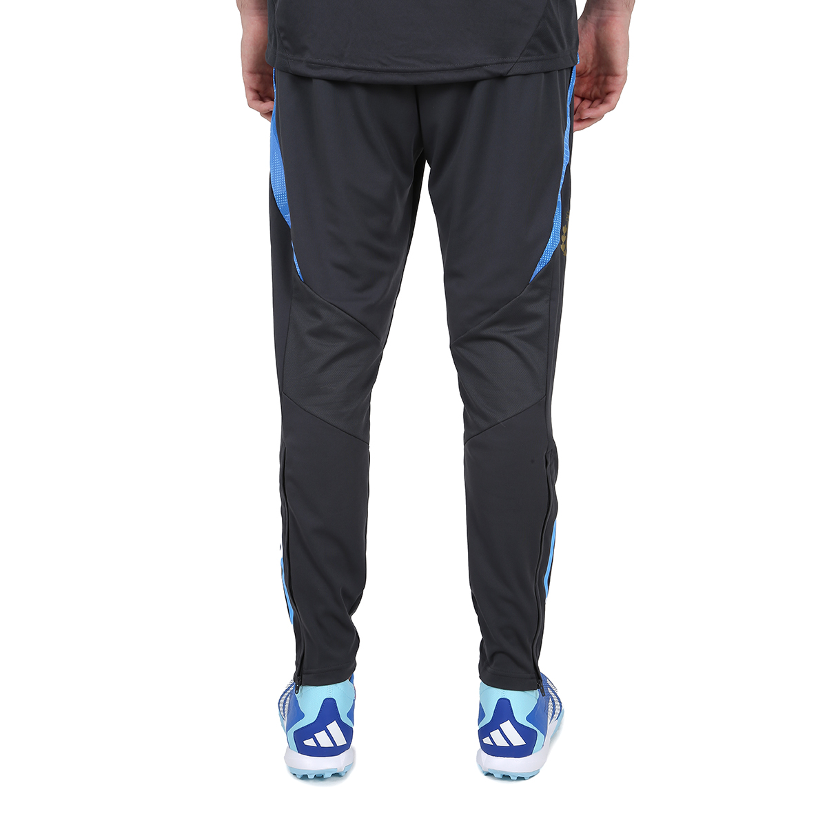 Pantalón Fútbol adidas Argentina Tiro Entrenamiento 24 Hombre,  image number null