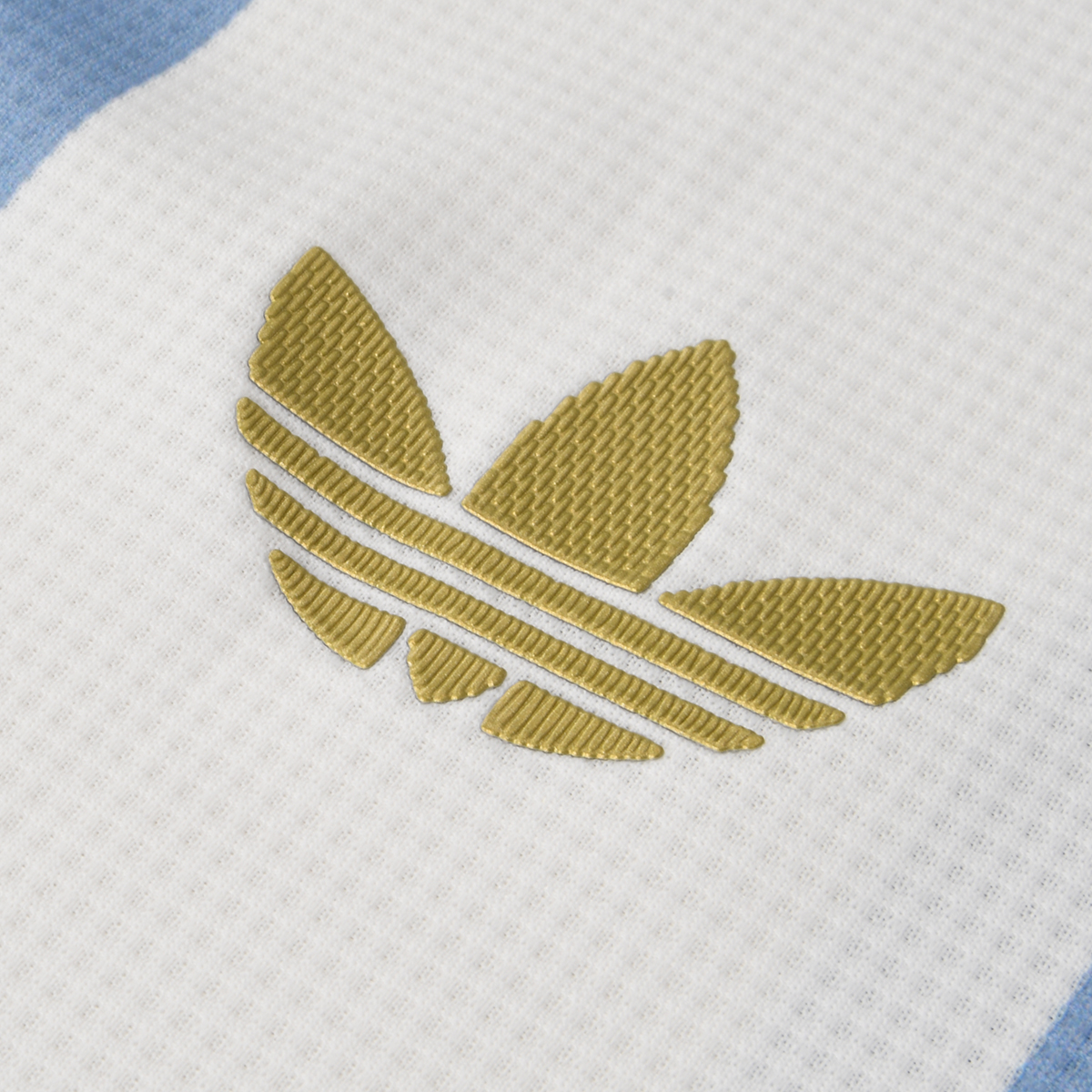 Camiseta Argentina adidas AFA Aniversario 24/25 Hombre,  image number null
