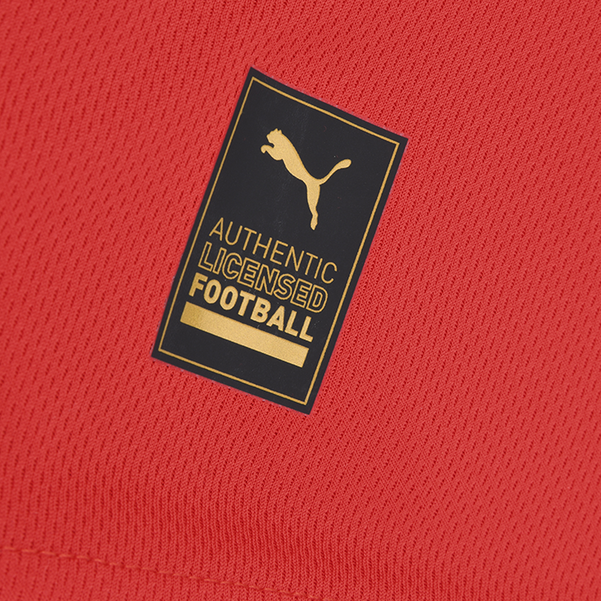 Camiseta Independiente Puma Home 2024 Infantil,  image number null