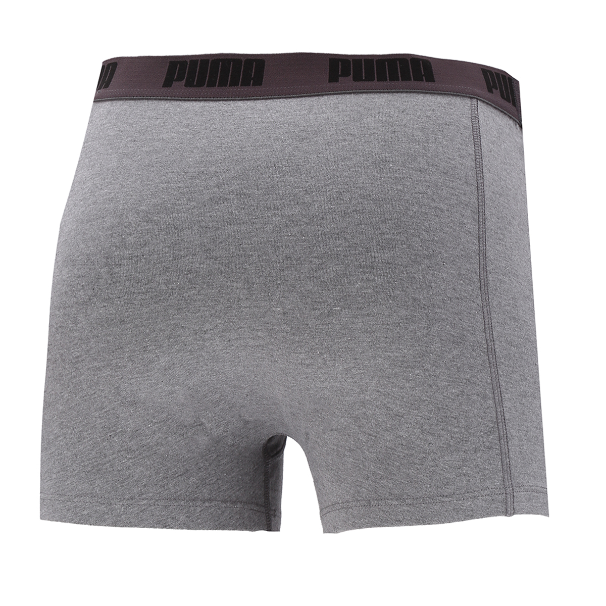 Boxer Puma Basic,  image number null